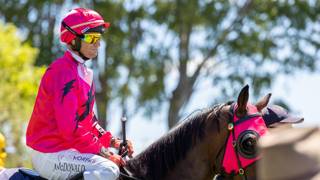 Gympie Turf Club turning pink for a good cause